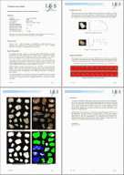 PDF 'PreInformation'